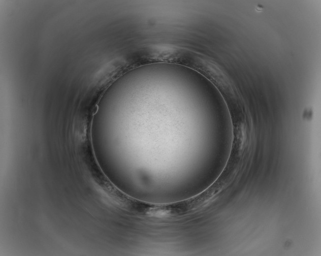 X0000091450602200708161259