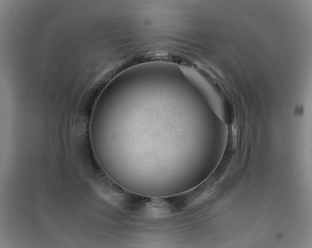 X0000091450603200708161259