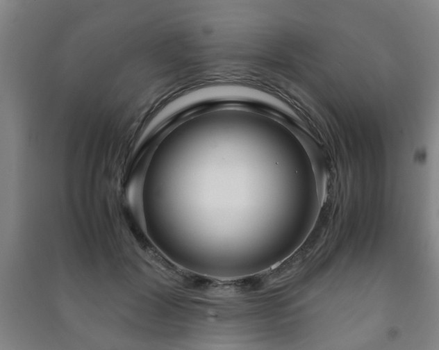 X0000091450604200708161259
