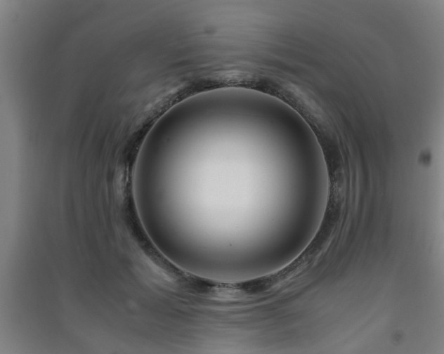 X0000091450605200708161259