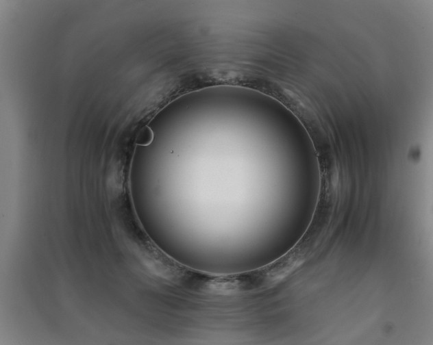 X0000091450606200708161259