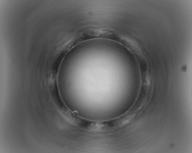 X0000091450607200708161259