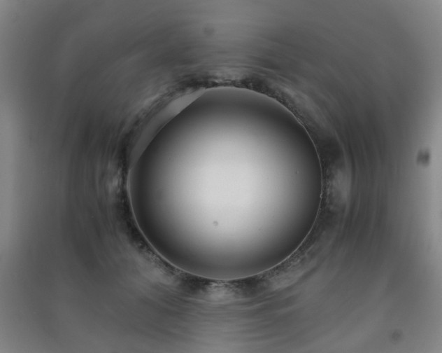 X0000091450608200708161259