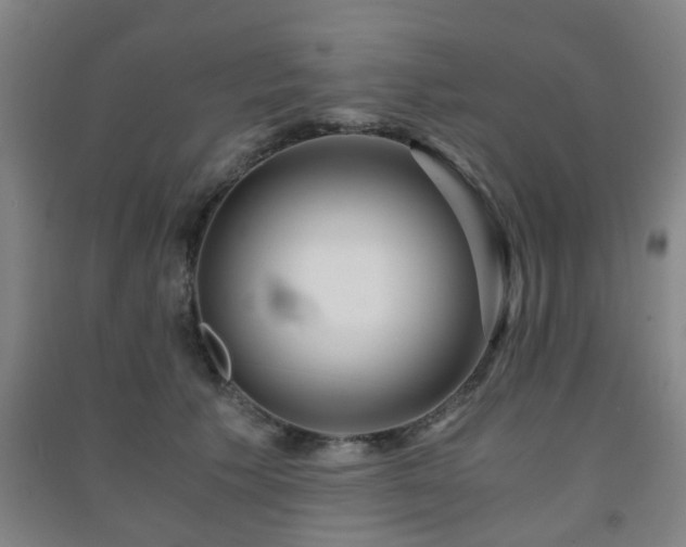 X0000091450609200708161259