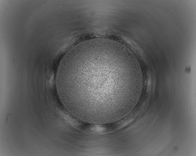 X0000091450610200708161259