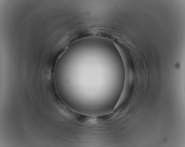 X0000091450611200708161259