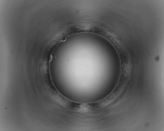 X0000091450612200708161259