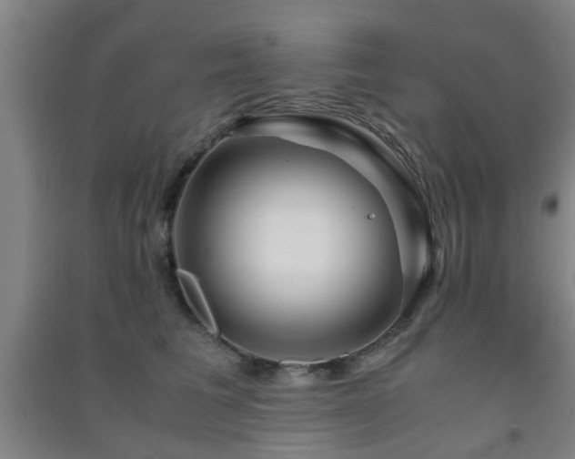 X0000091450613200708161259