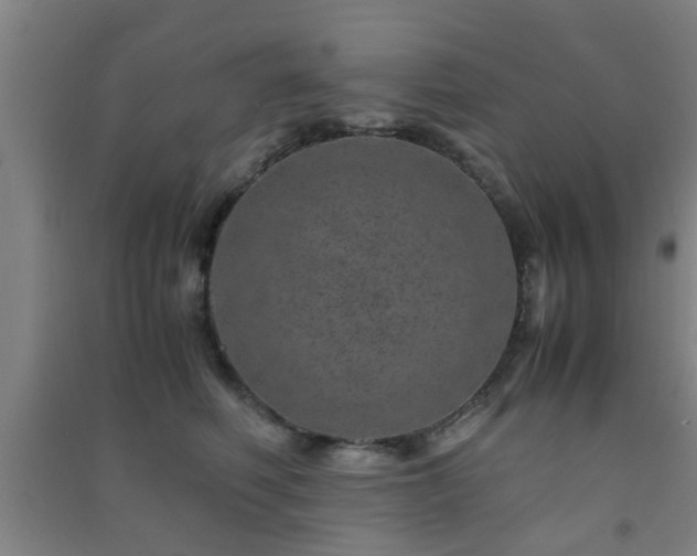 X0000091450614200708161259