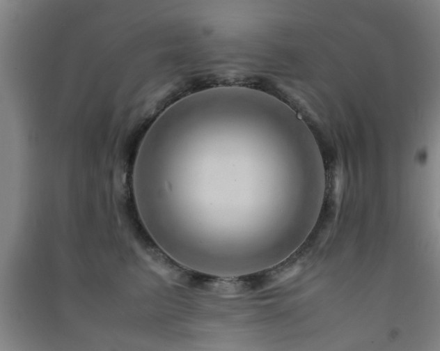 X0000091450615200708161259