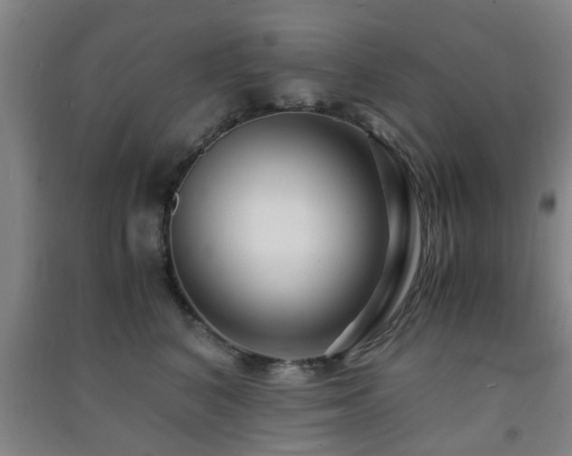 X0000091450616200708161259