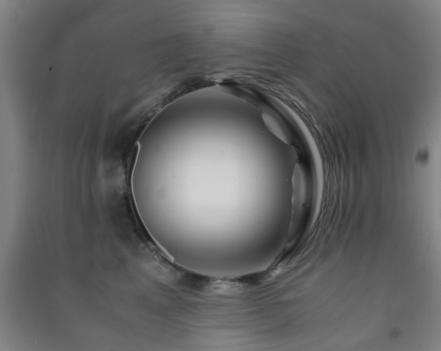 X0000091450617200708161259