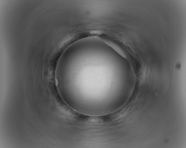 X0000091450619200708161259