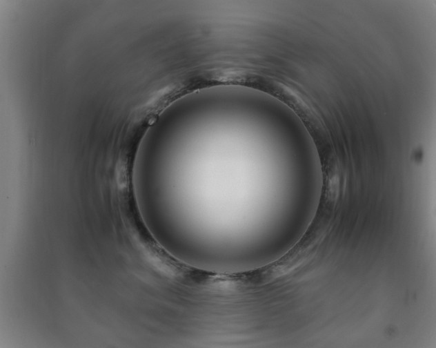 X0000091450620200708161259