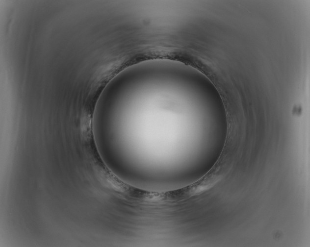 X0000091450624200708161259