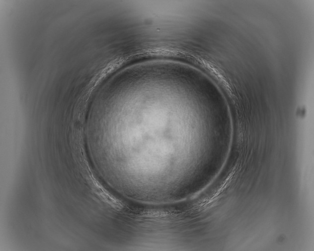X0000091450625200708161259