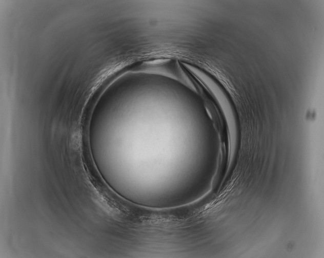 X0000091450626200708161259