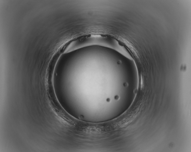 X0000091450627200708161259