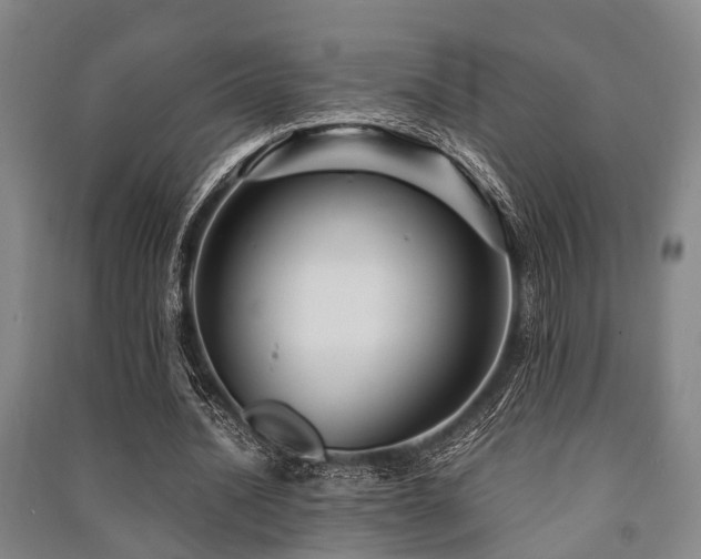 X0000091450628200708161259