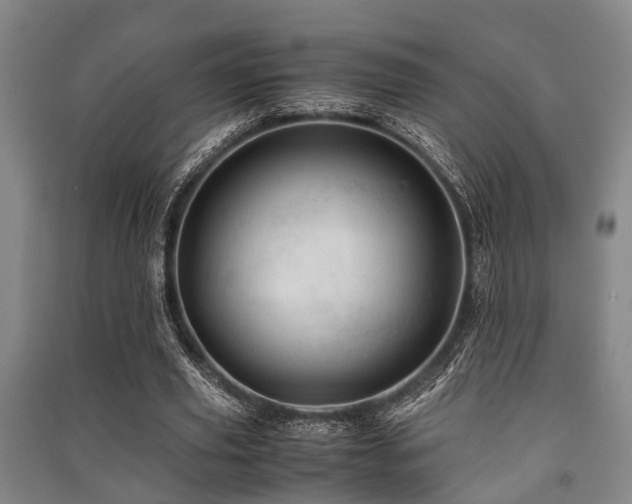 X0000091450629200708161259
