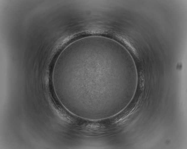 X0000091450631200708161259