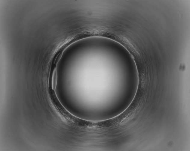 X0000091450634200708161259