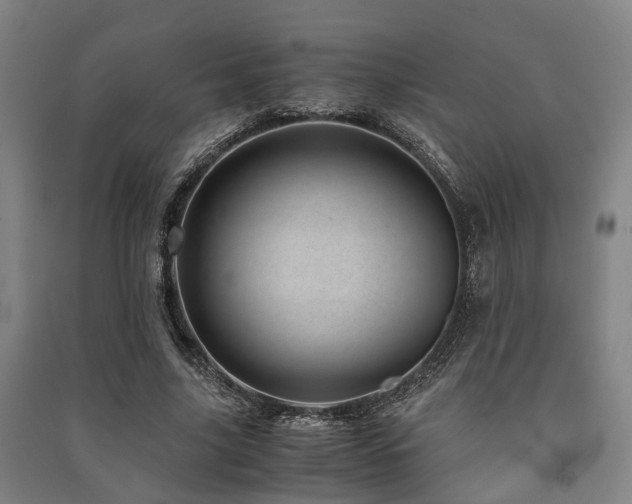 X0000091450635200708161259