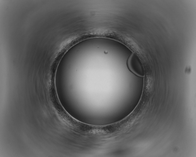 X0000091450636200708161259