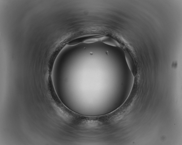 X0000091450637200708161259