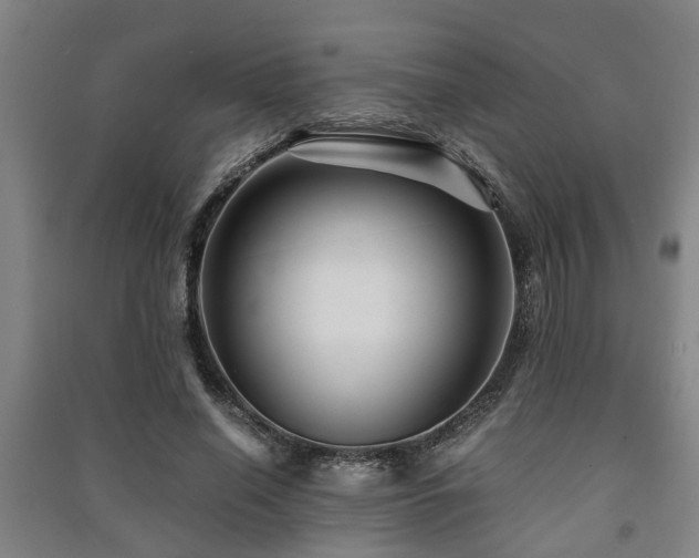 X0000091450638200708161259