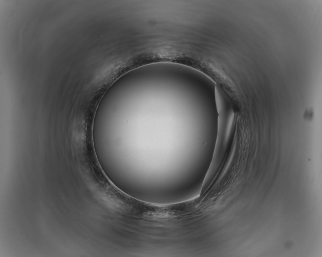 X0000091450639200708161259
