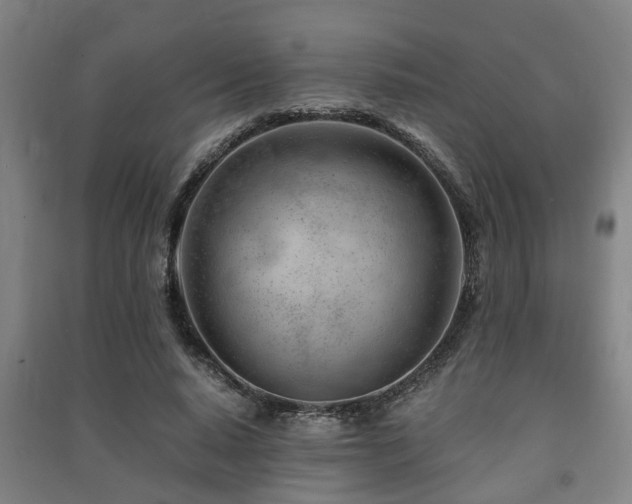 X0000091450640200708161259