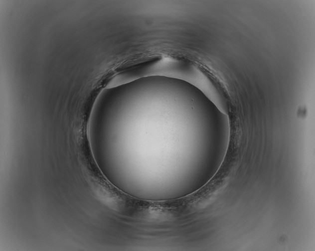 X0000091450641200708161259