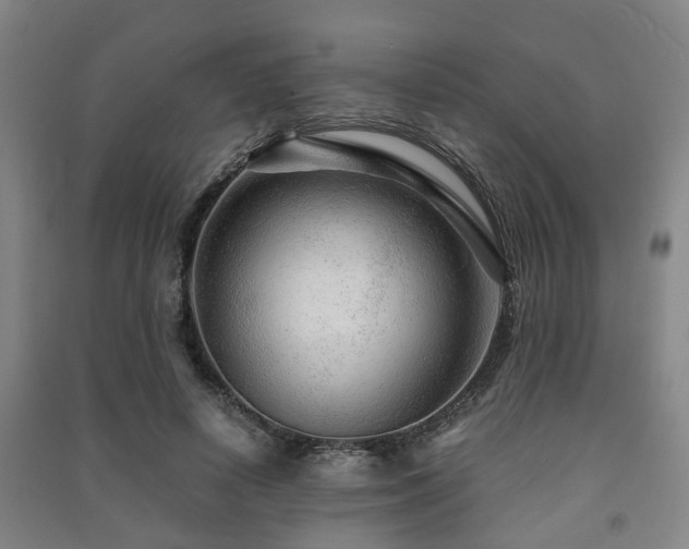 X0000091450642200708161259