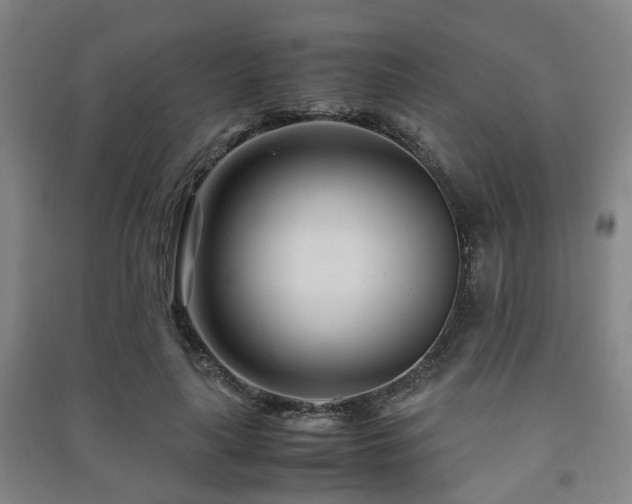 X0000091450643200708161259