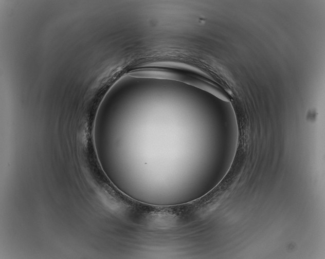 X0000091450644200708161259