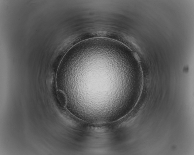 X0000091450645200708161259