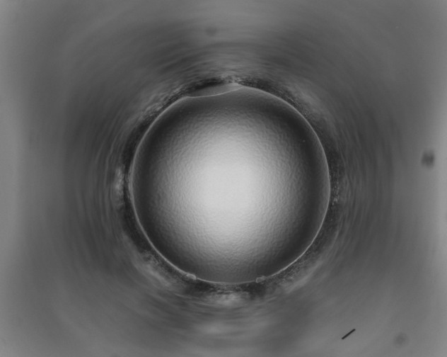 X0000091450646200708161259