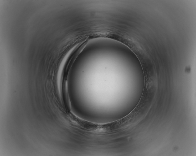 X0000091450647200708161259