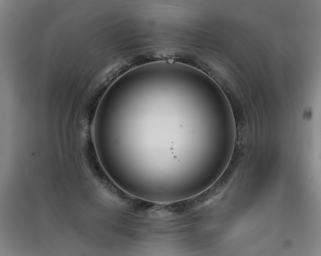 X0000091450648200708161259