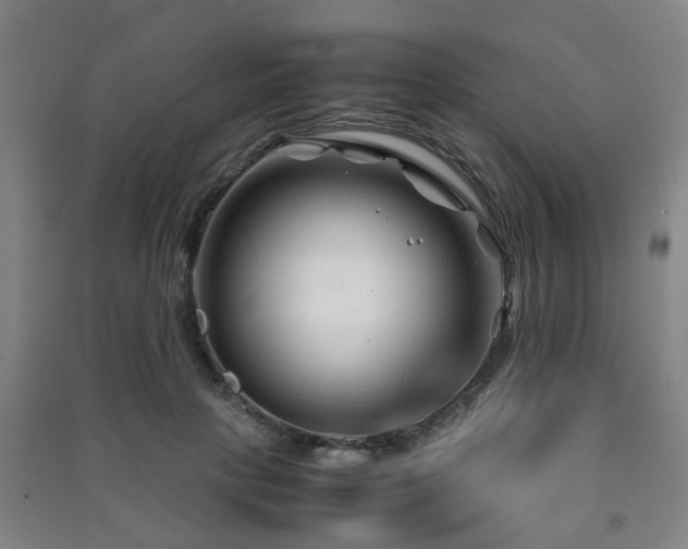 X0000091450649200708161259