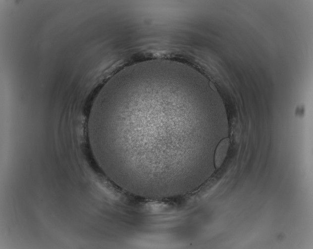 X0000091450650200708161259