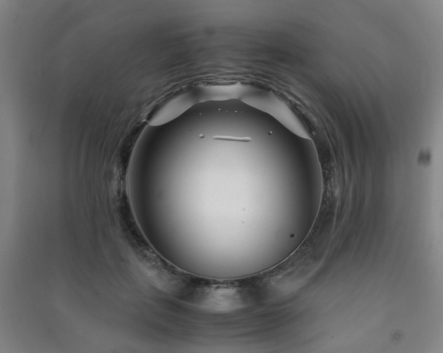 X0000091450651200708161259