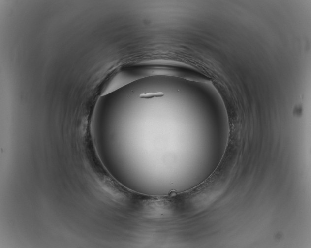 X0000091450652200708161259