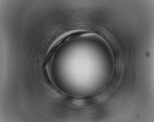 X0000091450653200708161259