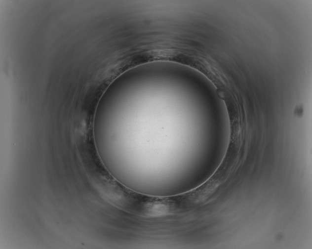 X0000091450655200708161259