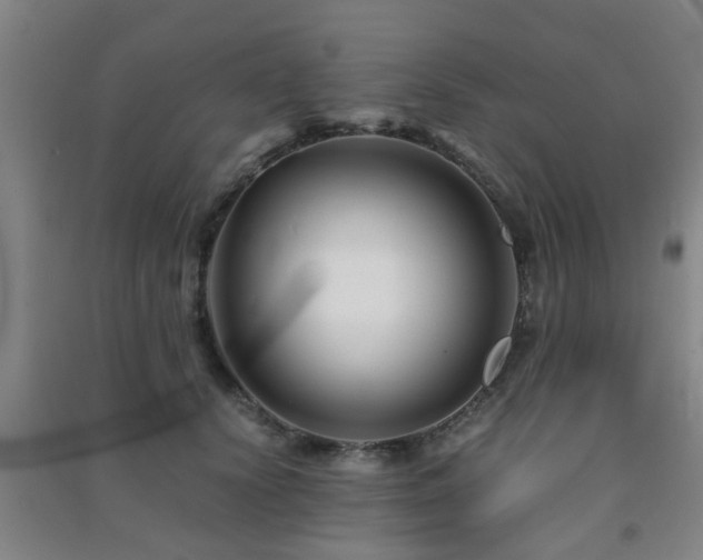 X0000091450656200708161259