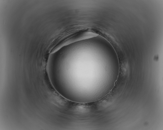 X0000091450657200708161259