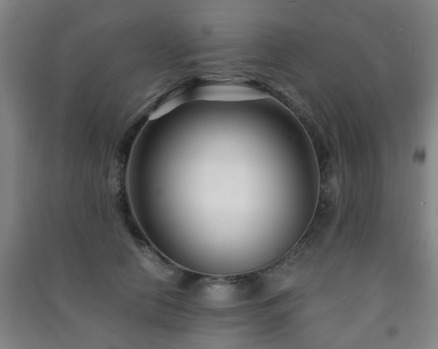 X0000091450658200708161259