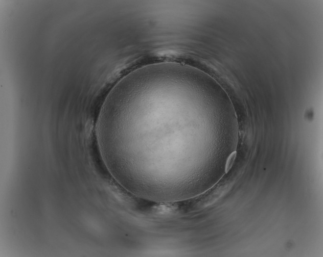 X0000091450660200708161259
